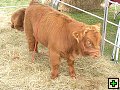 thn_NZ leden-unor 2006 079.jpg